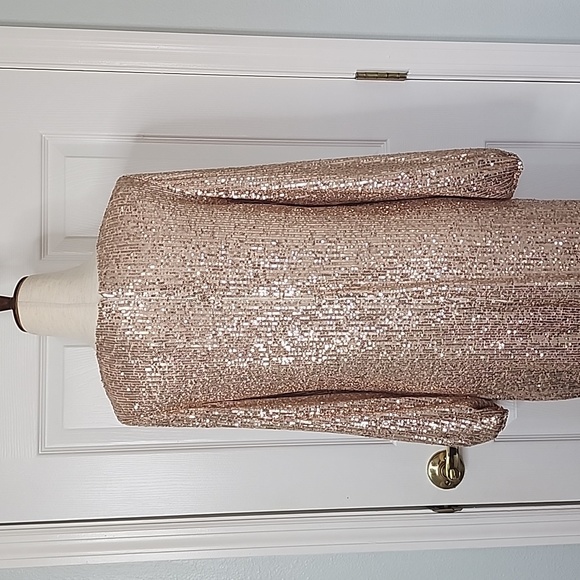 PRESTON & YORK WOMAN'S  SEQUINED DRESS.  SIZE 8 - Picture 6 of 11